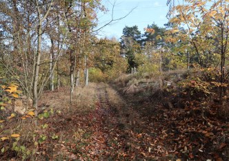 działka na sprzedaż - Wągrowiec (gw), Dębina Orla
