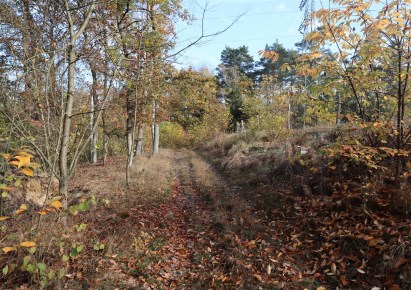 działka na sprzedaż - Wągrowiec (gw), Dębina Orla