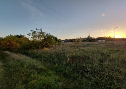 działka na sprzedaż - Szydłowo (gw), Dobrzyca