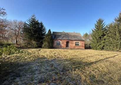 dom na sprzedaż - Wągrowiec (gw), Siedleczko
