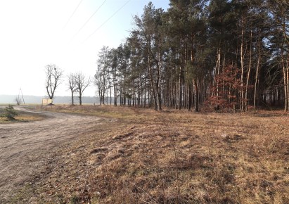 działka na sprzedaż - Skoki (gw), Rościnno