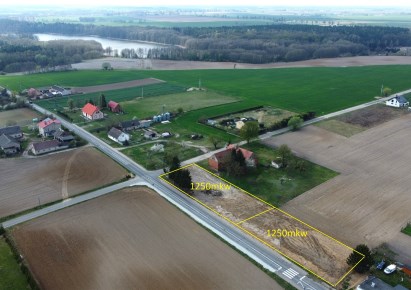 działka na sprzedaż - Gołańcz (gw), Laskownica Wielka