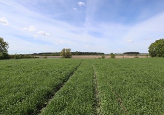 działka na sprzedaż - Wągrowiec (gw), Bracholin