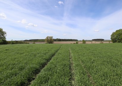 działka na sprzedaż - Wągrowiec (gw), Bracholin
