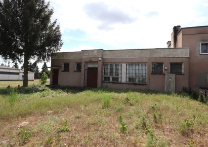 dom na sprzedaż - Rogoźno (gw), Gościejewo