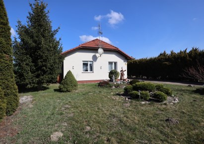 dom na sprzedaż - Wągrowiec